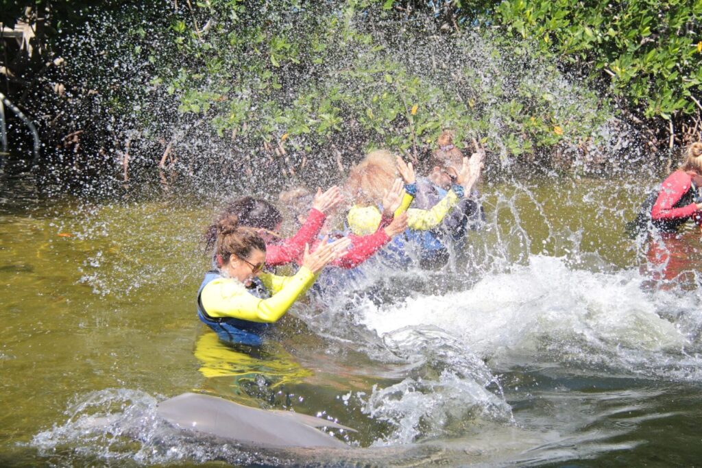 Patients enjoying water activity with dolphins at Kinder in the Keys
